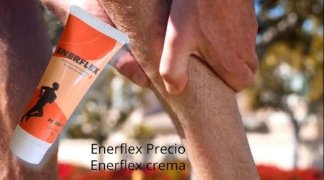 Que Componentes Tiene Enerflex